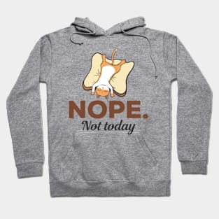 Nope Not Today Sleeping Cat Hoodie